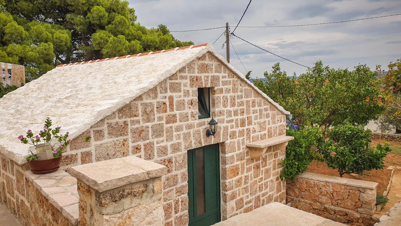 Obala