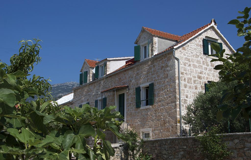 Apartment Obala