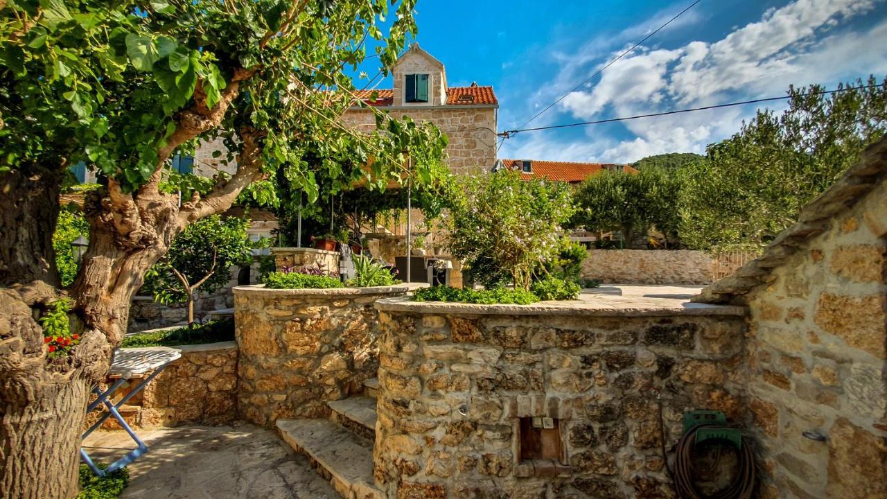 Apartmán Obala